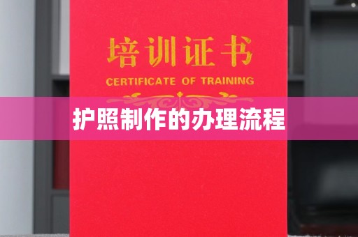 舞钢护照制作的办理流程